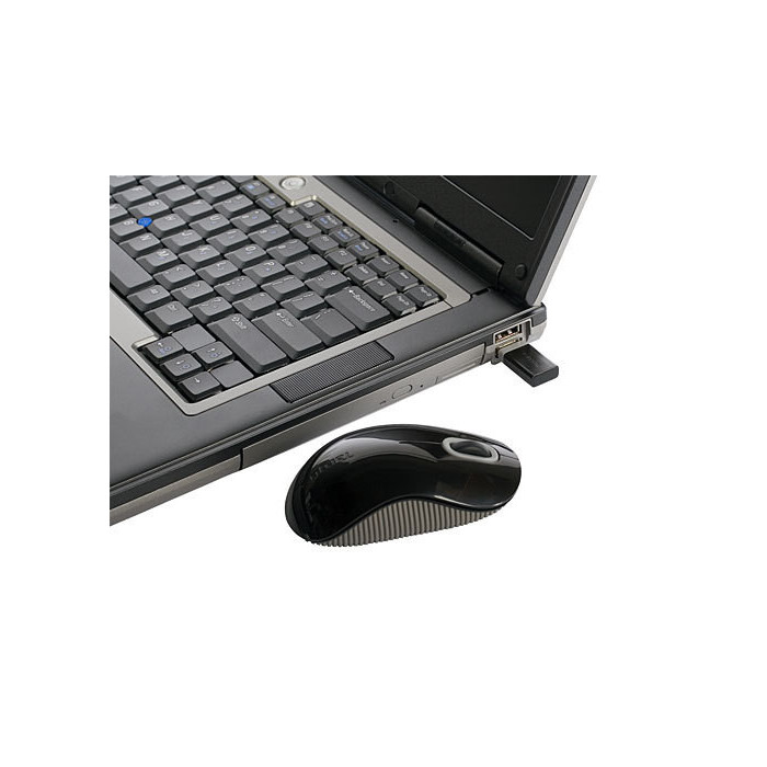 Targus AMW50US ratón RF inalámbrico Óptico 800 DPI
