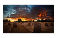 Samsung VM46T-U Pantalla plana para señalización digital 116,8 cm (46") IPS 500 cd   m² Full HD Negro 24 7