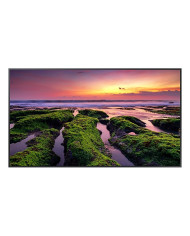 Samsung QBB Series 50" Pantalla plana para señalización digital 127 cm (50") VA Wifi 350 cd   m² 4K Ultra HD Negro Tizen 6.5