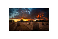 Samsung LH55VMBUBGBXGO pantalla de señalización Pantalla plana para señalización digital 139,7 cm (55") IPS 500 cd   m² Full HD