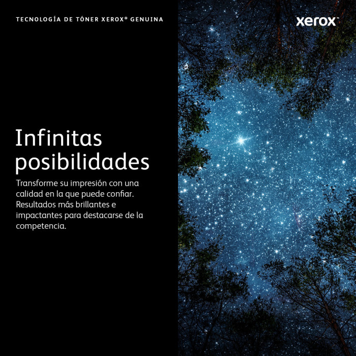 Xerox 106R03396 cartucho de tóner 1 pieza(s) Original Negro