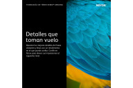 Xerox 006R04381 cartucho de tóner 1 pieza(s) Original Negro