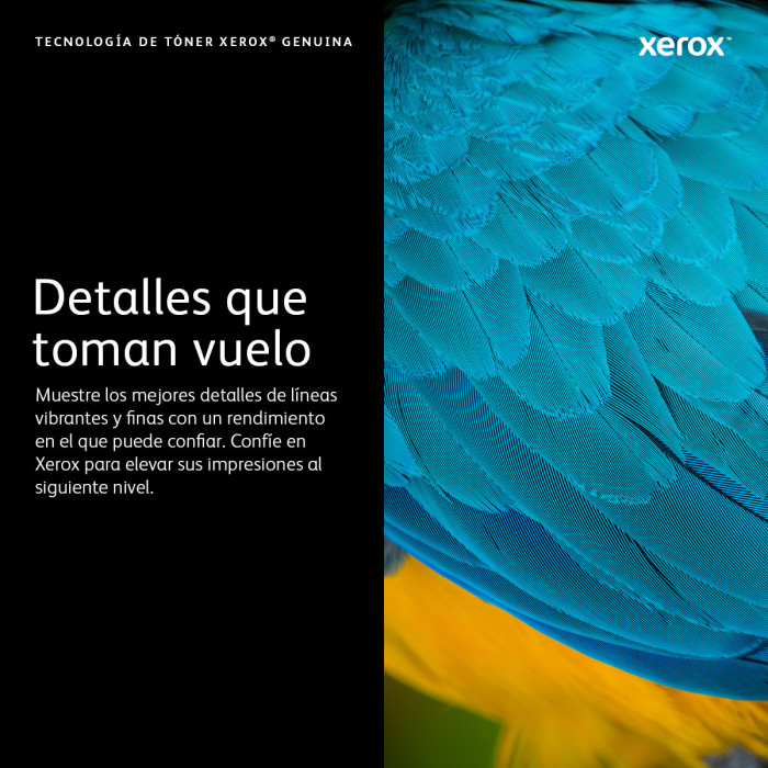 Xerox 106R04348 cartucho de tóner 1 pieza(s) Original Negro
