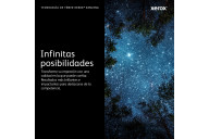 Xerox Cartucho del cilindro